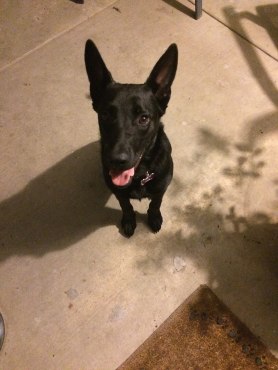 11890941_1018865641480297_9143009589639131053_n